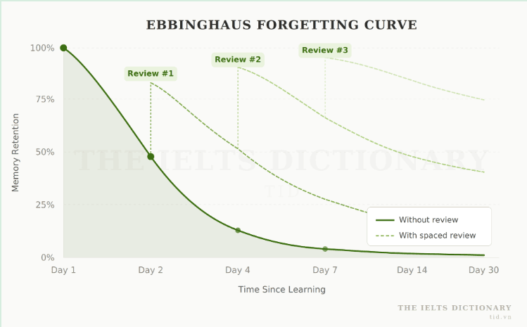 Hệ thống ôn tập giãn cách (Spaced Repetition)